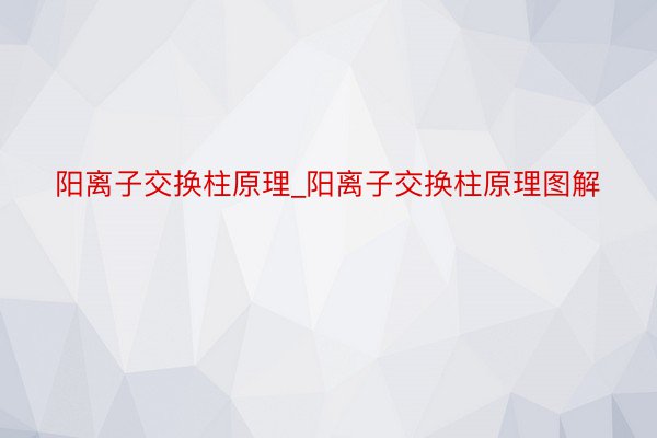 阳离子交换柱原理_阳离子交换柱原理图解